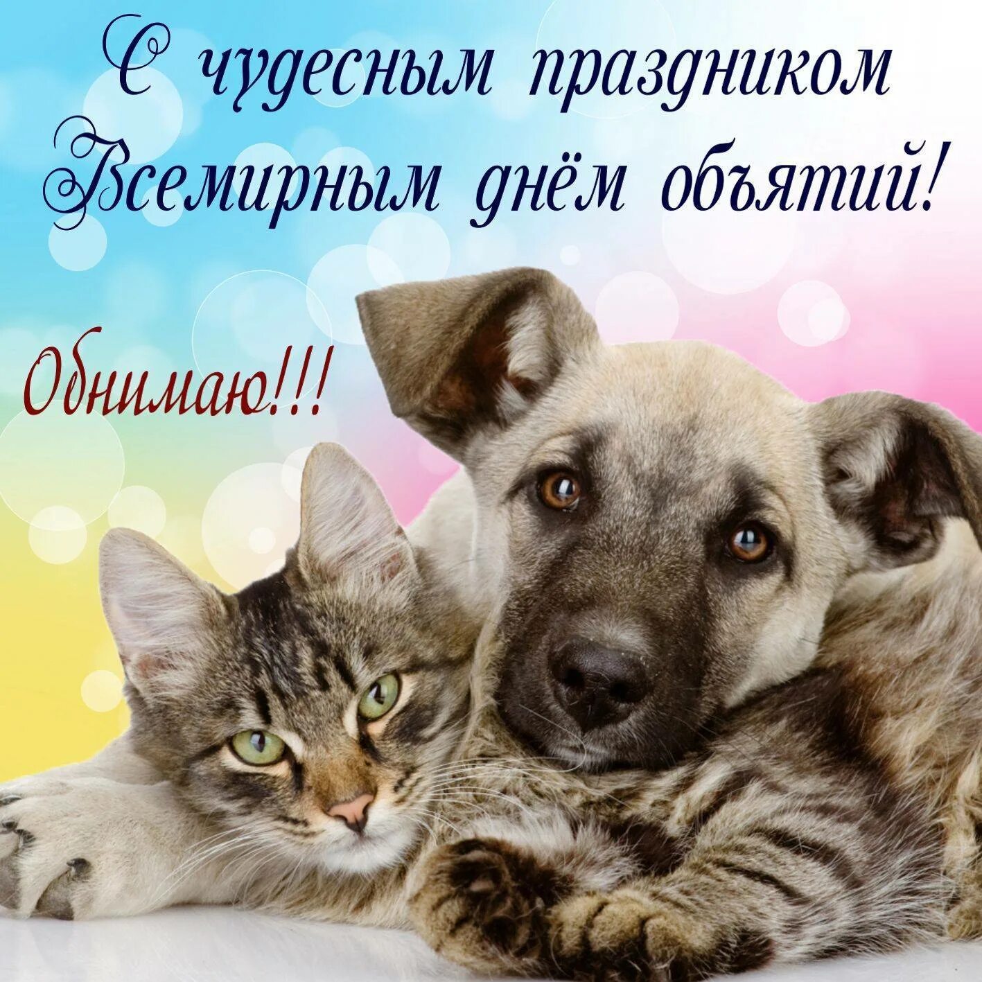 День обнимая. День объятий. с днём объятий открытки. кошки и собаки. открытки с днём обнимашек.