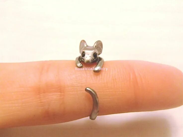 Ring mouse. Ring mouse