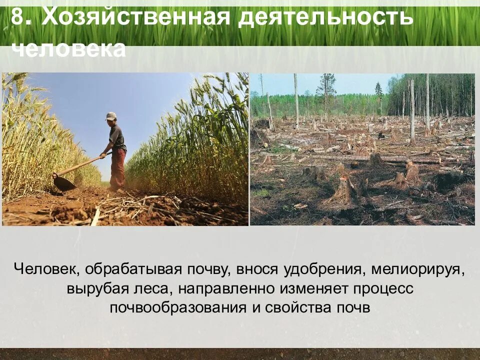 Деятельность человека почва. Хозяйственная деятельность человека. Деятельность человека на почву. Хозяйственная деятельность человека и почва. Влияние человека на почву.
