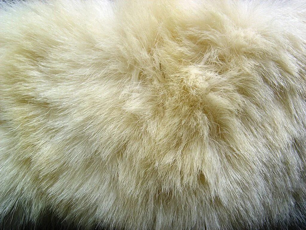 Мех фактура. Текстура шерсти. Серая шерсть. Густая шерсть. Шерсть овцы.