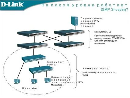 Протоколы коммутатора
