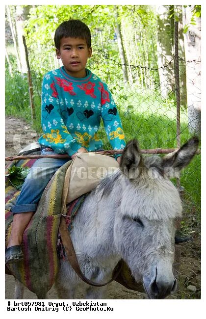 Рынок с ишаки чувашия. Человек ишак. Еду на ишаке. Ишак мотоцикл. Ташкент шарабара.