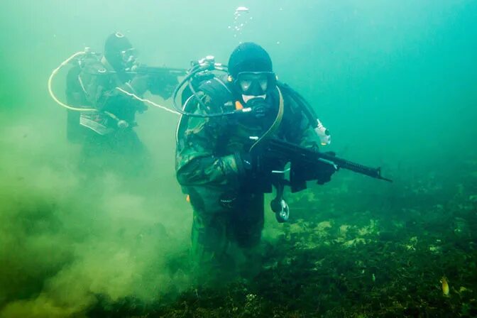 Морской спецназ фото Боевые пловцы Росгвардии отмечают профессиональный праздник Новости Росгвардии