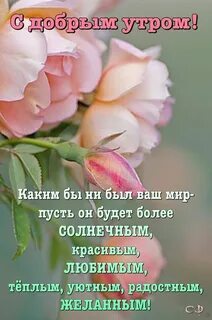 Умная красивая нежная