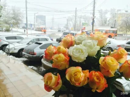 Долина роз интернет