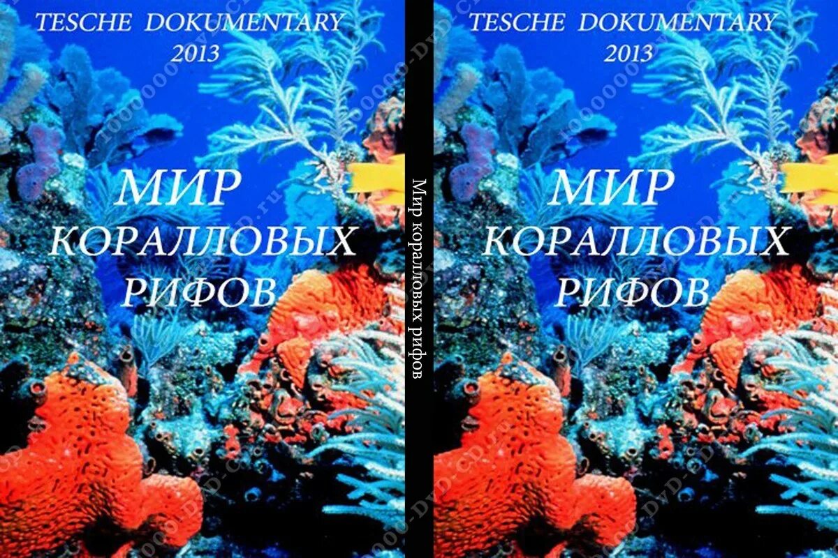 Условное обозначение коралловых рифов. Текст коралловый риф. История возникновения коралловых рифов. Текст коралловый риф. Риффы из коралловых полипов.