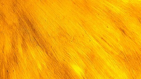 Yellow wood