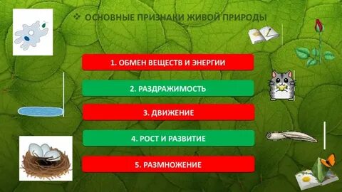 Многообразие форм живых организмов 9 класс пономарева