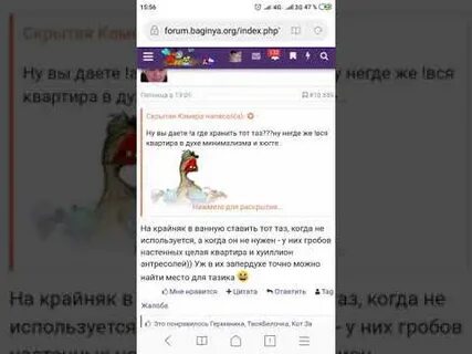 Форум насиков