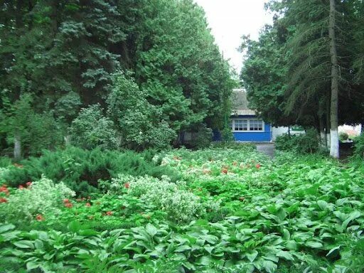 Станция юных натуралистов асбест. Станция натуралистов тверь. Самарская областная станция юных натуралистов. Станция юных натуралистов губкин. Юннатов станция юннатов.