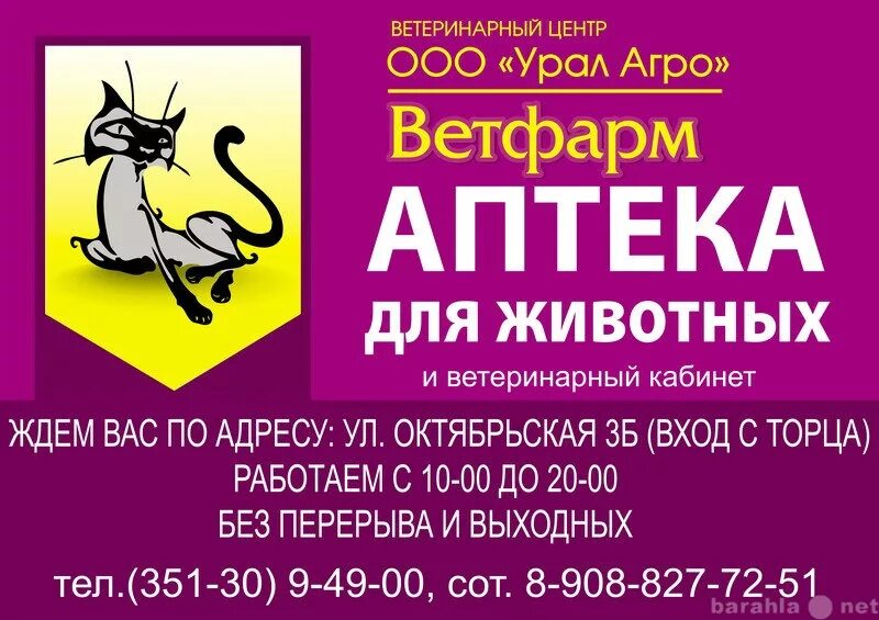 Ветеринарная озерск. Ветеринарная озерск. Ветеринарная озерск. Ветеринарная озерск. Ветеринарная озерск.