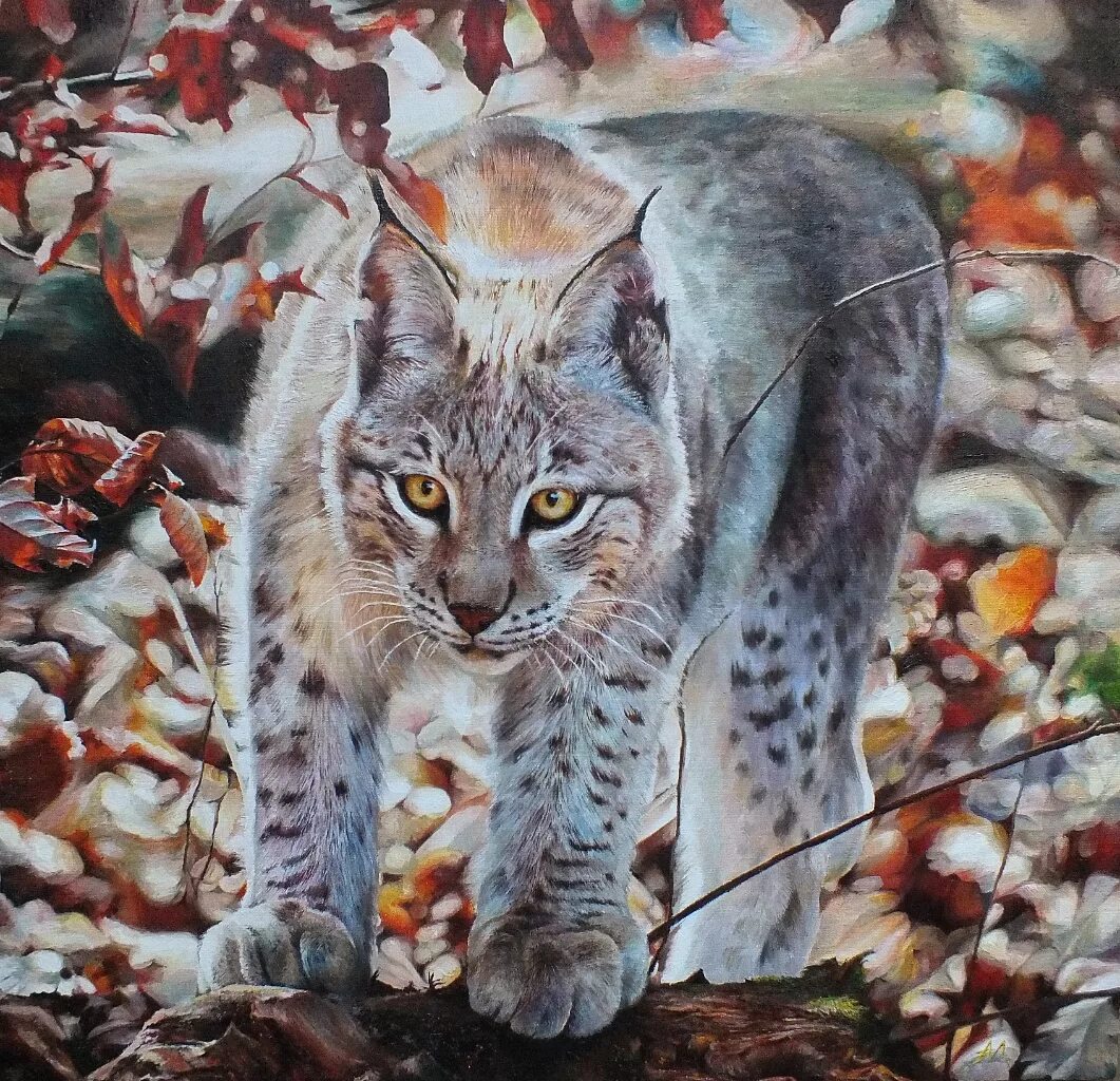 каракал каджит. новогодние костюмы для мальчика снежный барс. снежный барс костюм детский. детский костюм кошечки. рысь арт милая.