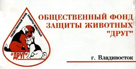 Общественный фонд