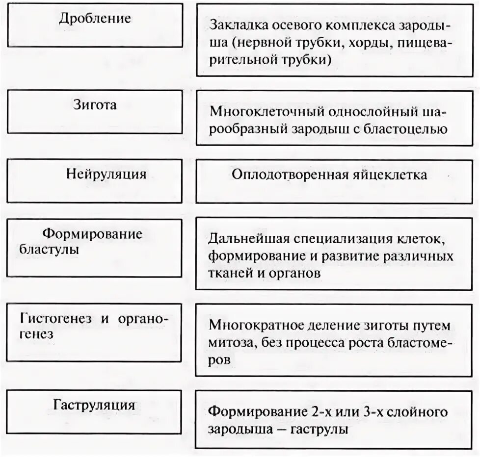 Этапы постэмбрионального развития таблица. Таблица периоды постэмбрионального развития человека таблица. Постэмбриональный период онтогенеза. Основные стадии постэмбрионального развития человека таблица.