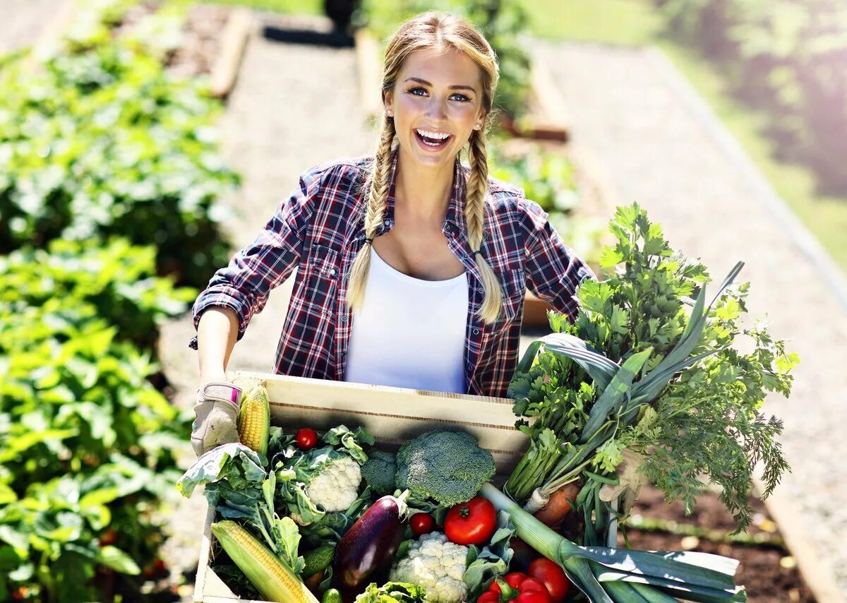Дачник с урожаем. Девушка в огороде. Таня огородный. Советы от тети тани голова садовая. Канал тети тани.