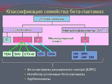 Ингибиторы лактамазы