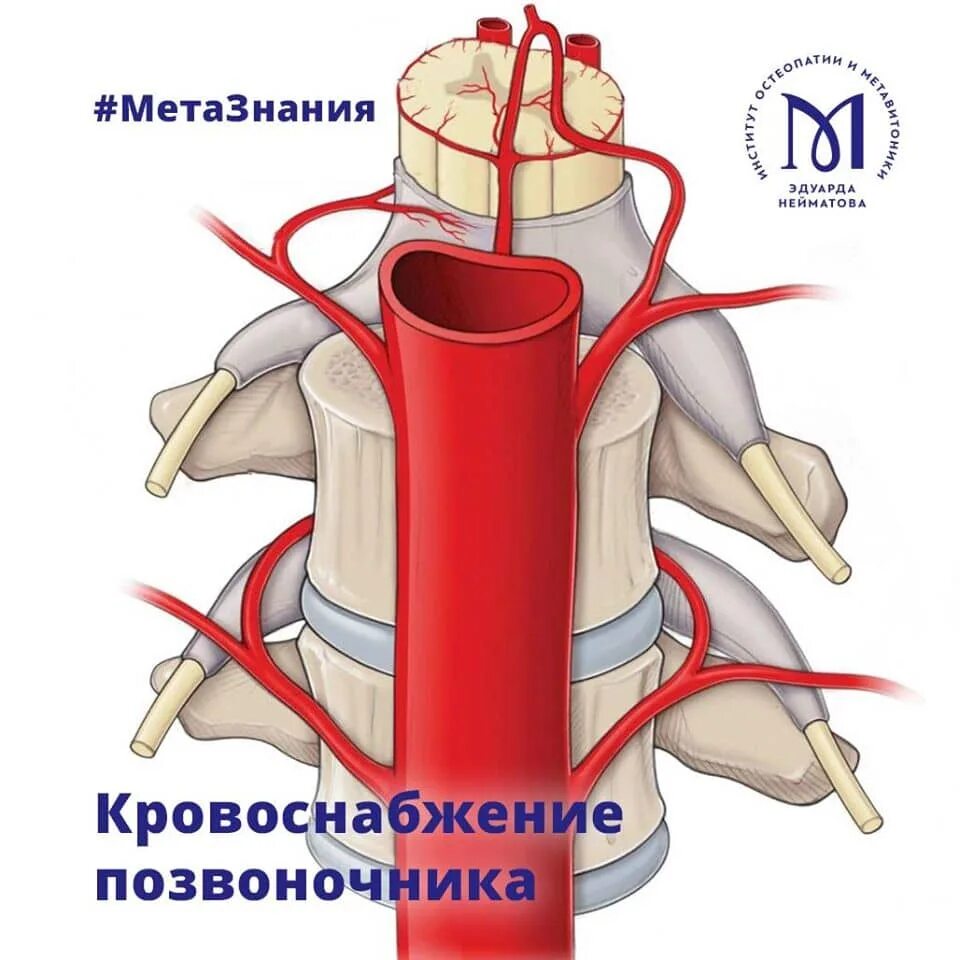 Нарушение кровоснабжения мышц