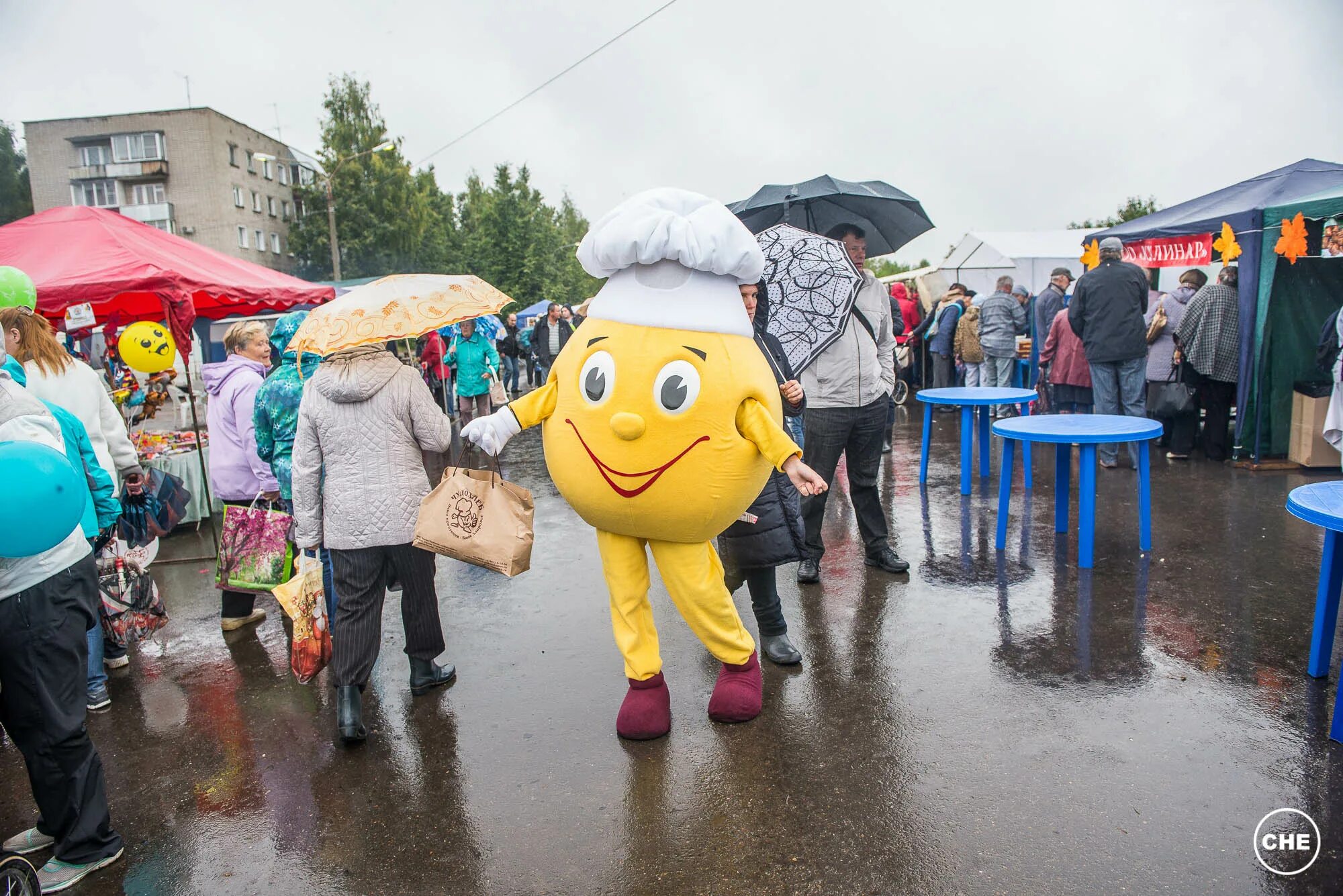 Чепецк ру. Чепецк ру подслушано. Чепецк ру новости. Чепецк ру доска объявлений. Кирово чепецк объявления на чепецк ру