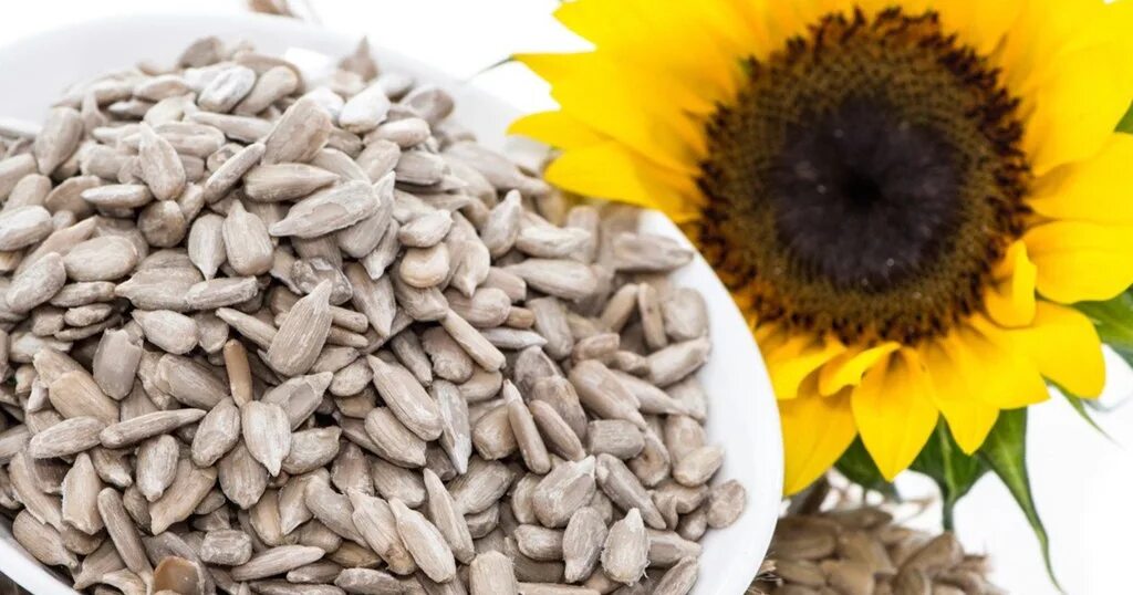 Молотые семена подсолнечника. Семена тыквы отвар. От семечек болит. От семечек болит. Семечки без шелухи.