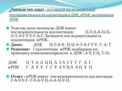 Антикодон трнк ауц
