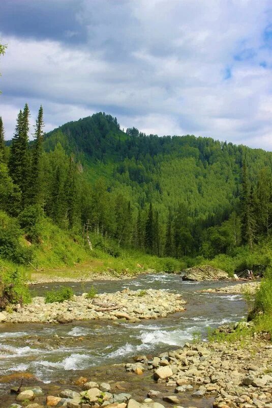 Песня речка быстрая каменистая