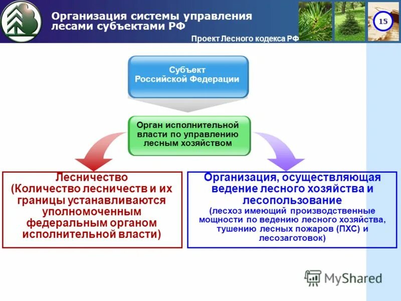 Структура лесхоза. Системы лесного хозяйства. Структура лесного хозяйства. Системы лесного хозяйства. Федеральное агентство лесного хозяйства система.