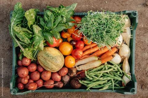 Varieties of food