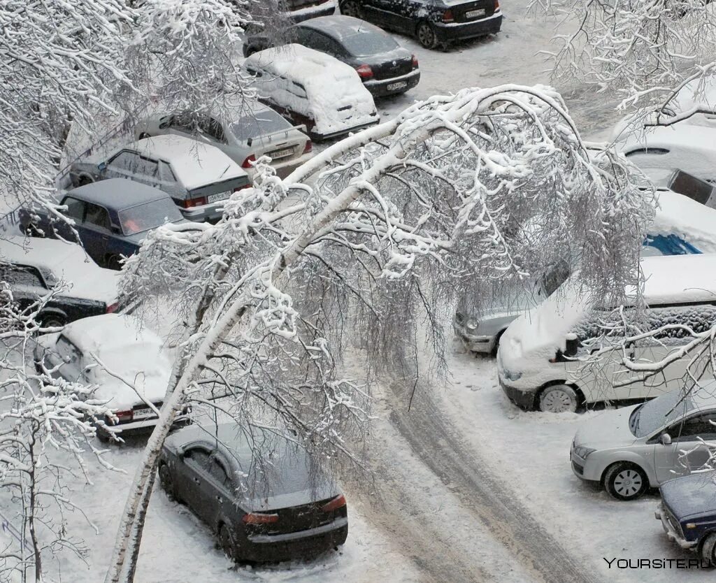 Ледяной дождь во владивостоке 2020. Ледяной дождь в москве 2010. Ледяной дождь в нижегородской области. Ледяной дождь 13 февраля. Ледяной дождь.