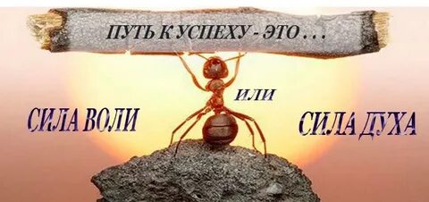 Твоя главная сила