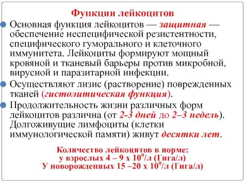 1 функции лейкоцитов. Функции лейкоцитов. Функции всех лейкоцитов. Основная функция лейкоцитов. Лейкоциты, функции лейкоцитов..