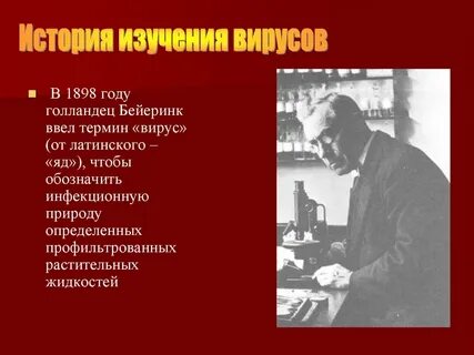 11 вирусы
