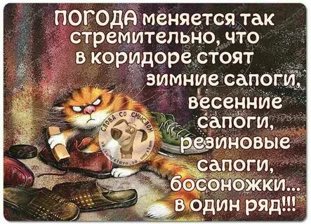 Обновляйся быстрей