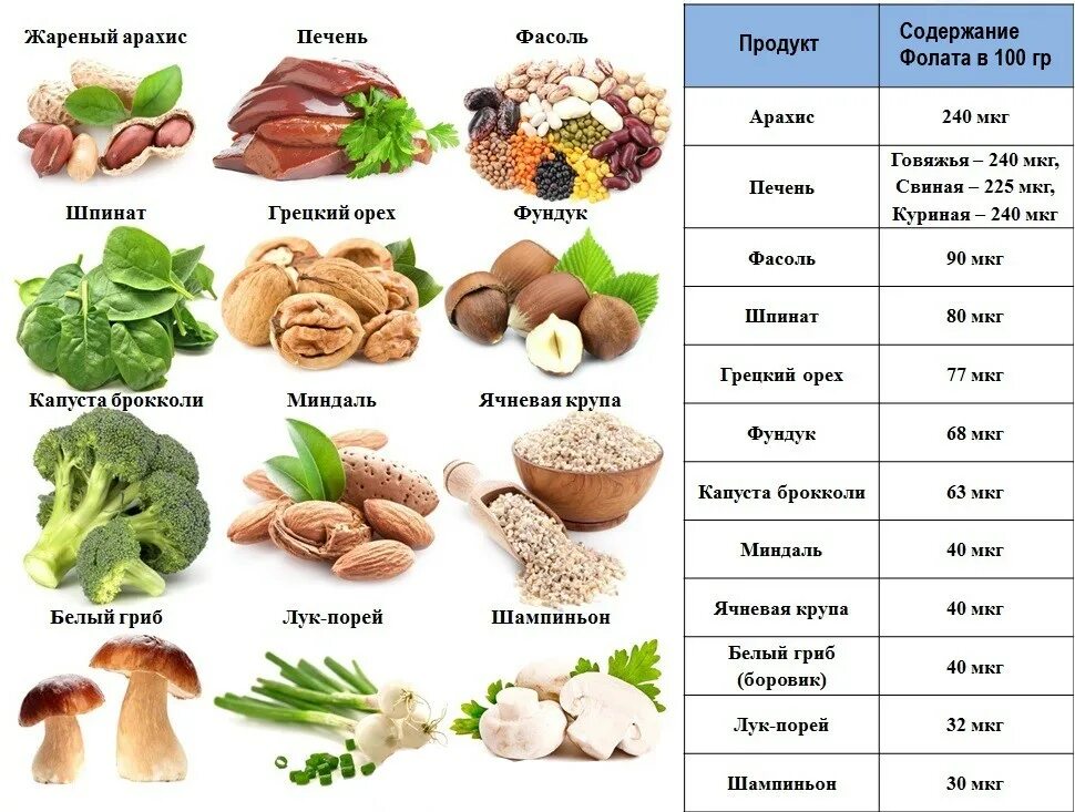 Фолиевая кислота и витамин в9 продукты. Продукты богатые фолиевой кислотой таблица. Витамин b9 фолиевая кислота продукты. Продукты с витамином в12 и фолиевой кислотой.