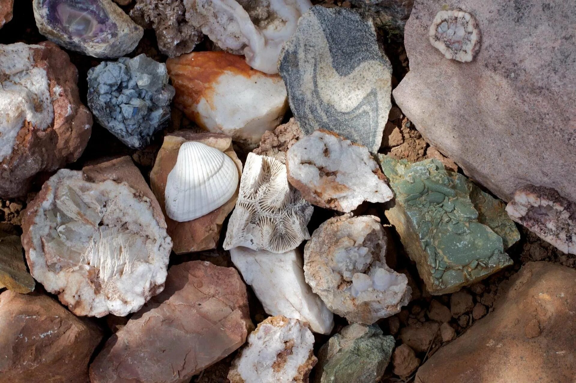 Происхождение каменных пород. Геология осадочных пород. Осадочные горные породы камни. Осадочные горные породы галька. Горные породы и минералы.