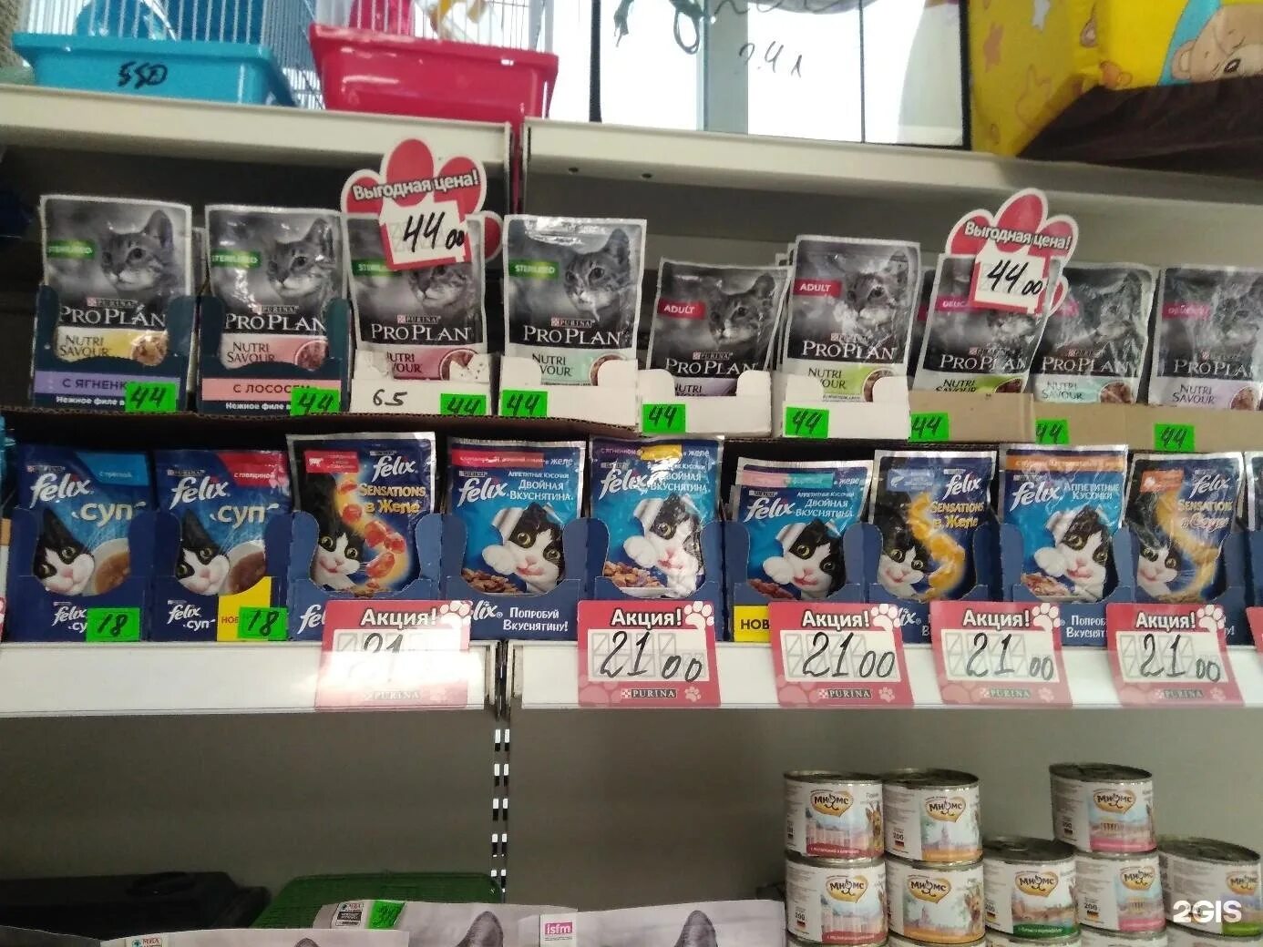 зоомагазин лапушки лянтор. зоомагазин лапушки лянтор. лапушки зоомагазин. лапушки магазин для животных. лапушки магазин для животных.