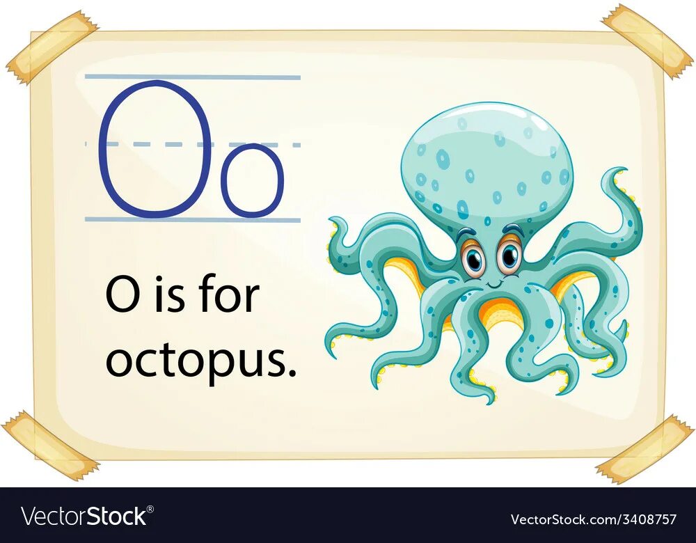 Карточки по английскому осьминог. O is for Octopus. Спрут на английском. Flashcards for Octopus.