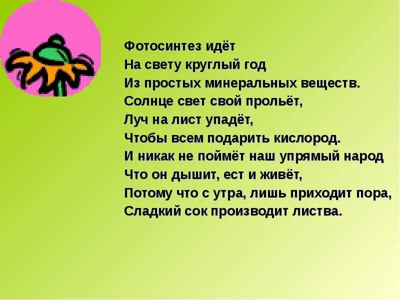 Влияние солнечной радиации на растения. Жизнь растений для детей. Растения на свету солнца. Как растения используют энергию. Влияние солнца на растения кратко.