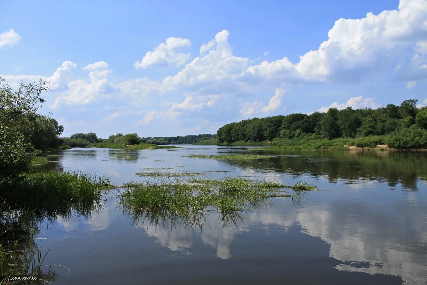 Река клязьма во владимирской области. Река клязьма вьется прохладной. Река клязьма орехово-зуево. Перово клязьма на карте. Усадьба гостилицы.