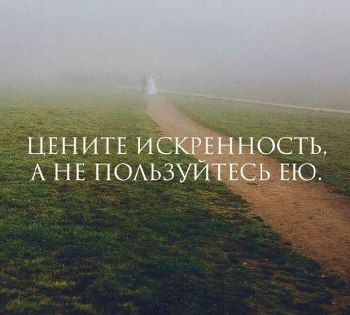 красивые цитаты. кому то хорошо. искренне ценим. искренне ценим. ценю в людях искренность и честность.