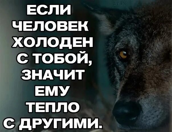 Человек любит холод. Холодные люди цитаты. Если человек холоден с тобой. Цитаты холодные. Холодно цитаты.