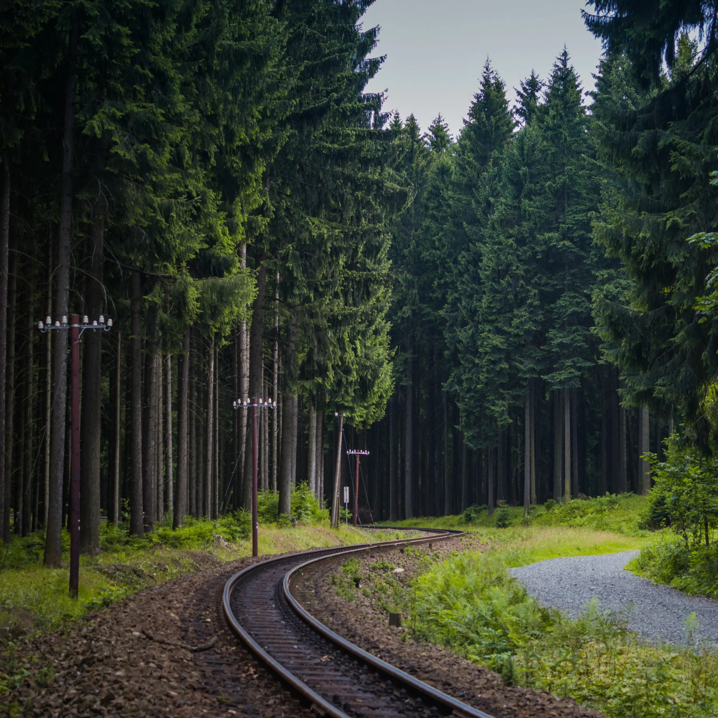 Железная дорога в лесу. Railway power. Гора паровоз кисловодск. Новые поезда. Поезда.