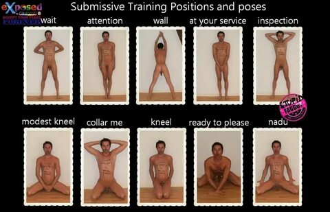 Submissive Training Poses and Positions. 