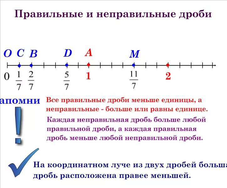 Прямая 5