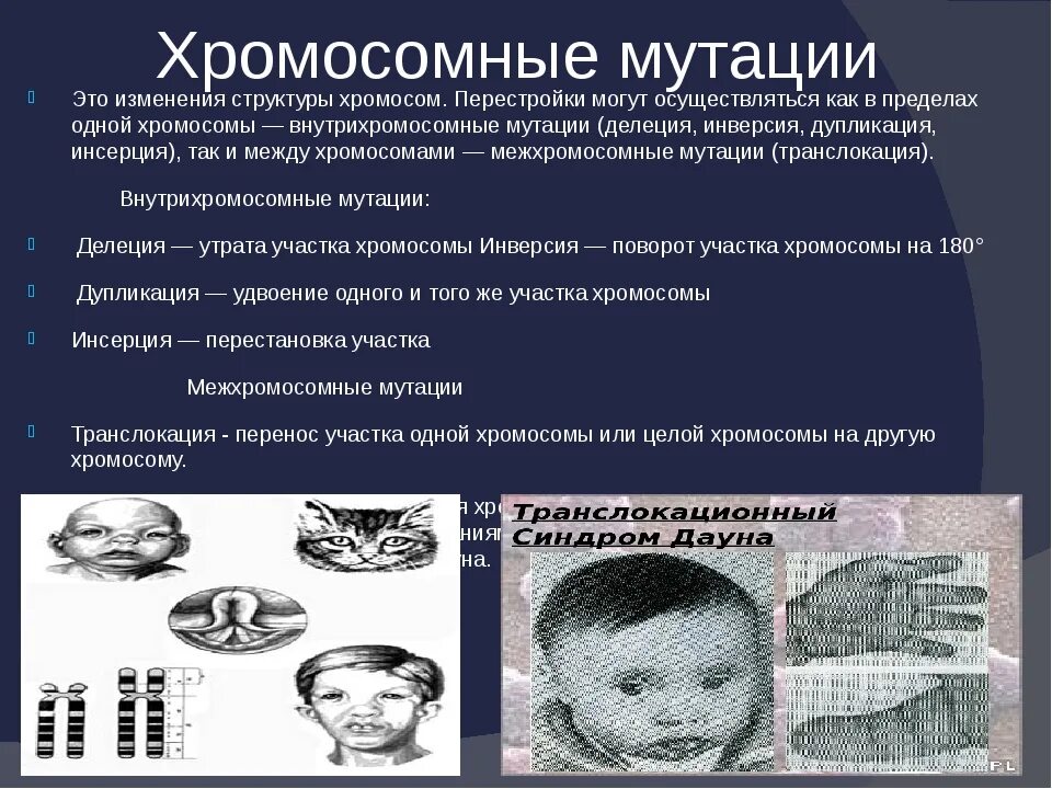 Хромосомная мутация изменение структуры хромосомы. Заболевания с хромосомными перестройками. хромосомные мутации изменение структуры хромосом. хромосомные синдромы нарушение структуры хромосом. хромосомные мутации, структурные изменения хромосом..