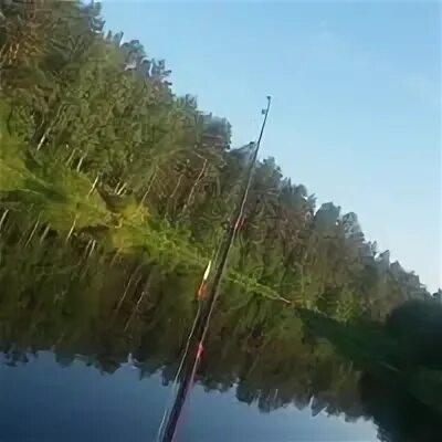 Серебряное озеро псков. Озеро велино. Озеро велино псковская область. Озеро упрей псковская область. Велино озеро бездонное деревня.