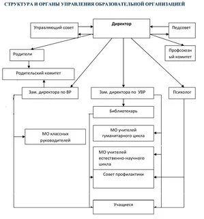 Структура и органы управления - СОШ 9
