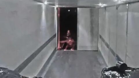 Кадры попали в сеть