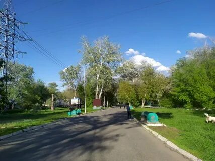 Роща оренбург