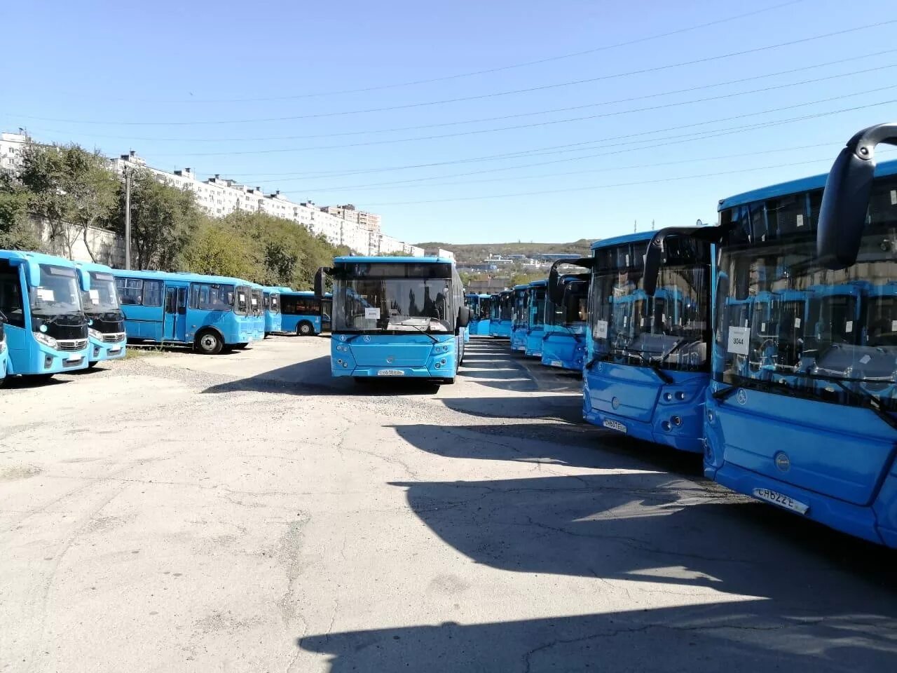 Транспорт автобусы владивосток. ЛИАЗ новый Владивосток. Автобусы ЛИАЗ во Владивостоке. Автобусный парк Владивосток. Владивосток автопарк автопарк Владивосток.