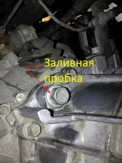 Контрольная пробка